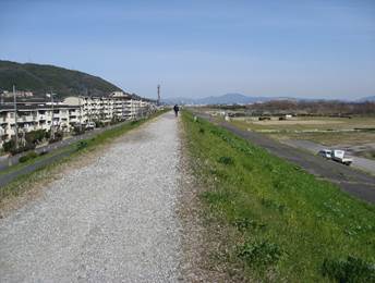 : IMG_2037